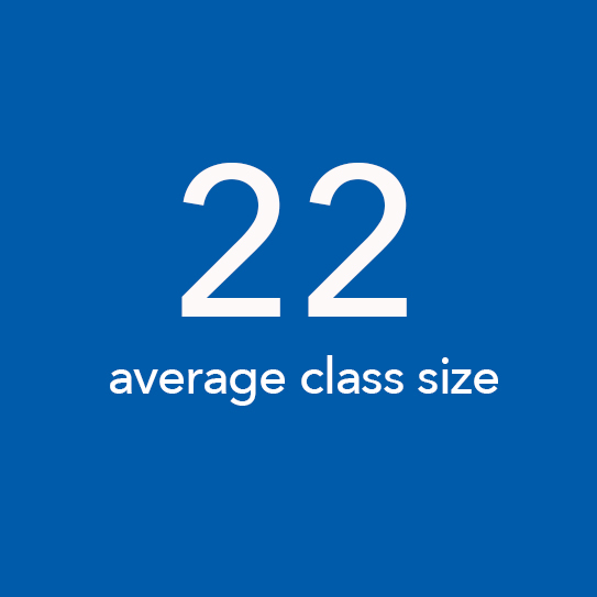 Average class size of 22