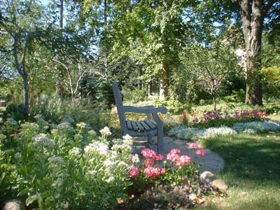 bench on campus in spring with pink and white tulips