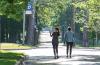 alumnae walking down the avenue