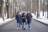 Snowy walk down The Avenue at Saint Mary's College, Notre Dame IN